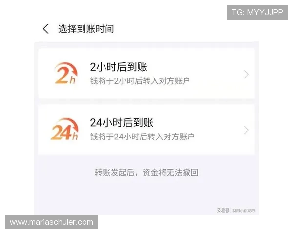 哈希娱乐城支付方式介绍多样选择保障资金安全与快速到账
